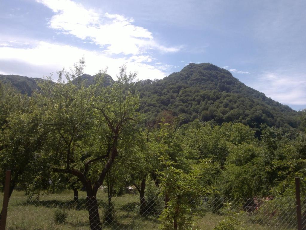 Villa Nanevi Teteven Εξωτερικό φωτογραφία