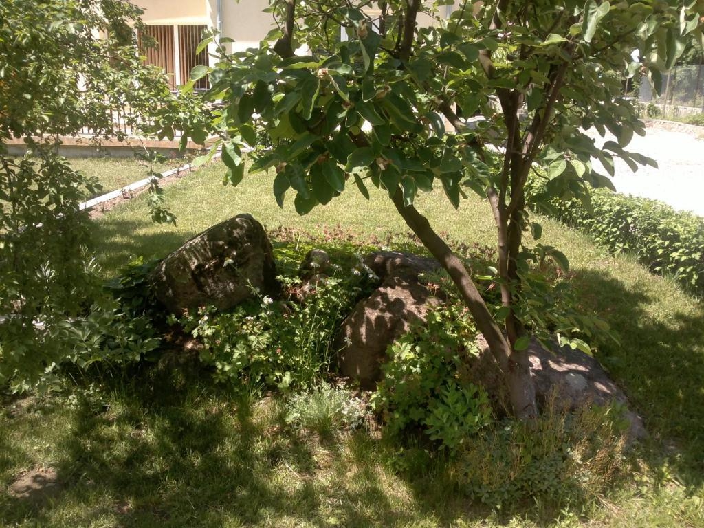Villa Nanevi Teteven Εξωτερικό φωτογραφία
